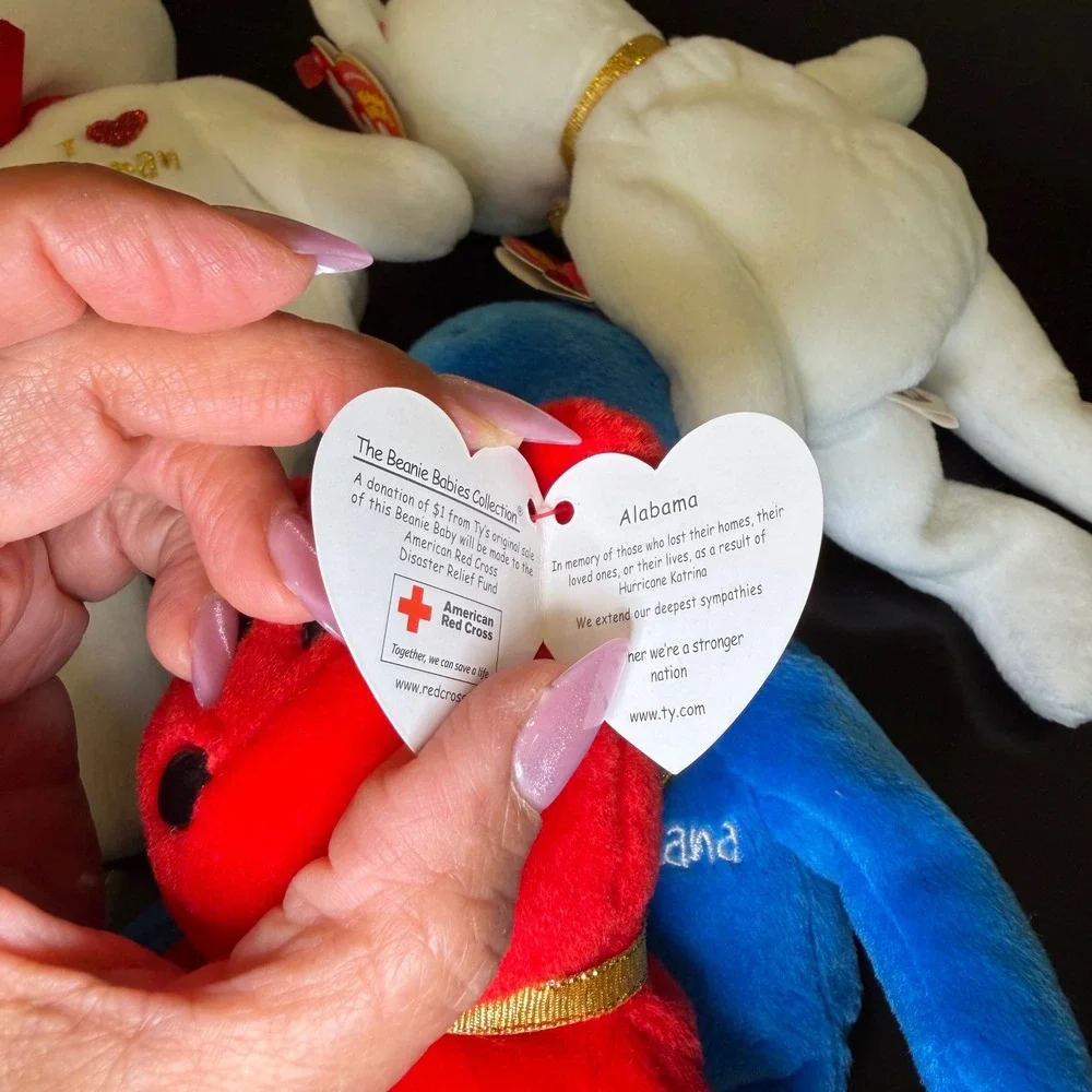 Ty‎ Beanie Babies Hurricane Katrina Relief Bears Louisiana Mississippi set of 3